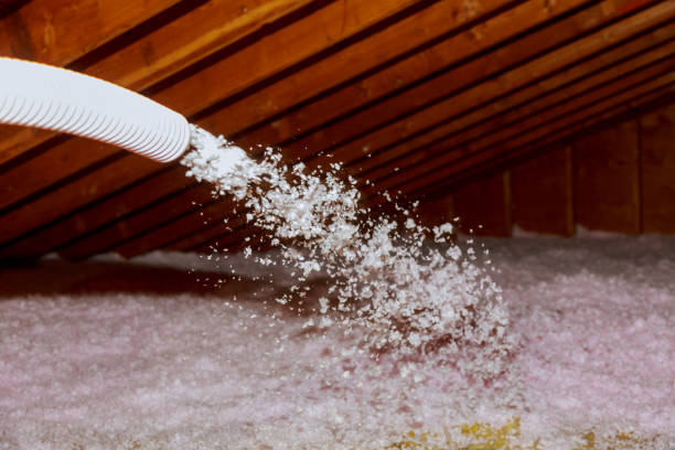 Best Insulation Maintenance and Repair in Covington, GA