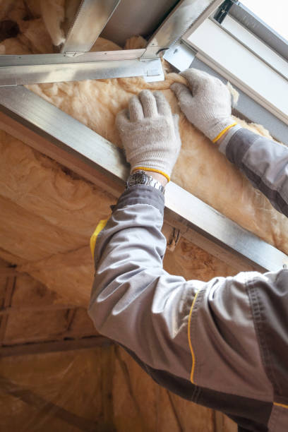 Best Residential Insulation in Covington, GA