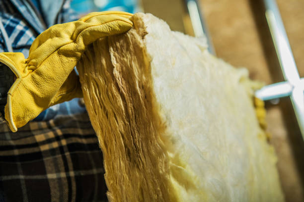 Best Cellulose Insulation in Covington, GA