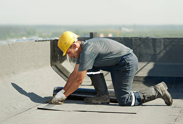 Best Specialized Insulation Services in Covington, GA